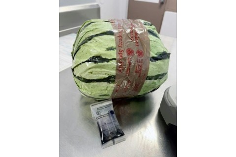 US Customs and Border Protection recovered a package wrapped in paper made to look like a watermelon but  in fact contained methamphetamine packed to move across the US-Mexico border, as shown in this handout image released on August 20, 2024