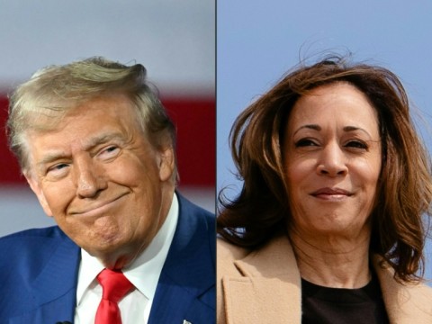 Vice President Kamala Harris will have a chance to present her policy proposals at the debate with former president Donald Trump on September 10, 2024