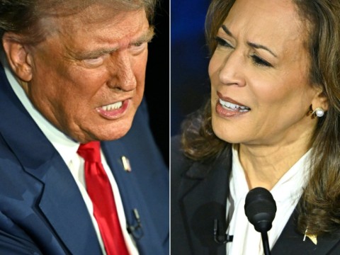 Donald Trump and Kamala Harris had their first and so far only debate on Tuesday