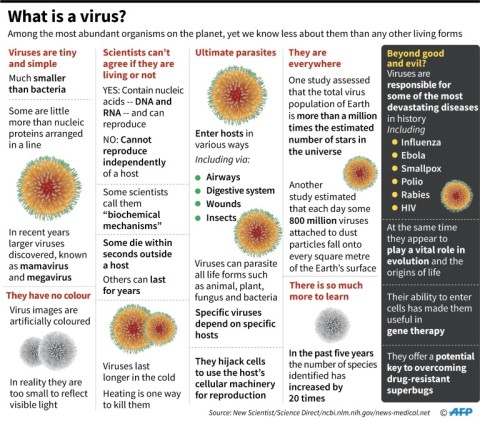 What is a virus?