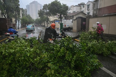 There were reports of trees being felled by high winds across the city