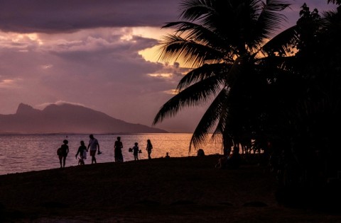 Whale-watching is an important source of income for French Polynesia