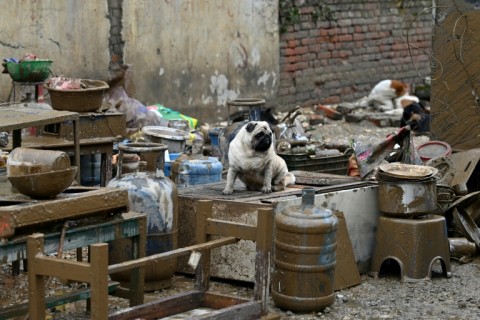 Residents returned to their mud-caked homes to start the cleanup after the floods