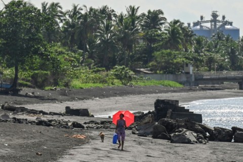 Coal is the largest source of man-made carbon dioxide emissions, according to the International Energy Agency