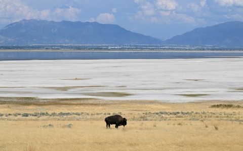 Water levels at the Great Salt Lake remain below the minimum necessary for its preservation