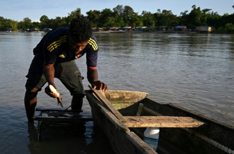 Fishmongers along Colombia's Atrato river complain they can't find buyers for their catch, because residents fear being poisoned