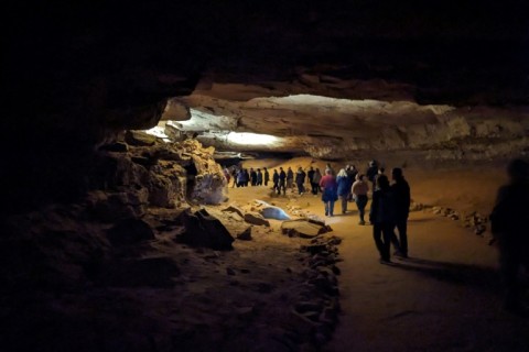 Mass mortality has occurred in four species of bats at Mammoth Cave National Park, whose namesake cavern, seen here in September 2024, receives hundreds of thousands of visitors a year