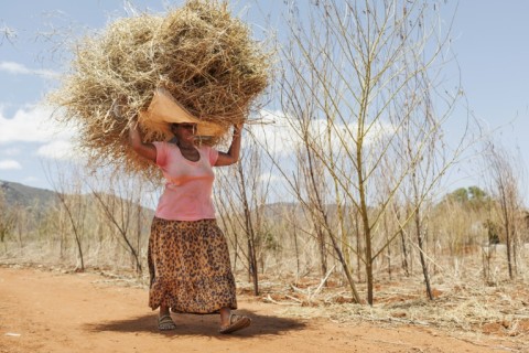 Charity Mwangome says she was refused compensation when elephants destroyed her crops 