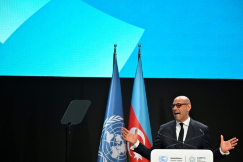 UN climate chief Simon Stiell appealed to solidarity