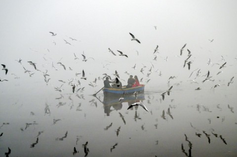 New Delhi and the surrounding metropolitan area, home to more than 30 million people, consistently tops world rankings for air pollution in winter