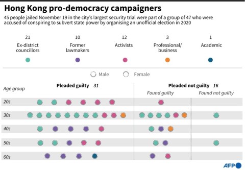 Hong Kong pro-democracy campaigners