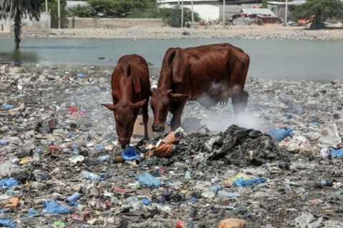 In 2019, the world produced around 460 million tonnes of plastic, a figure that has doubled since 2000, according to the OECD