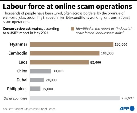 Labour force at online scam operations