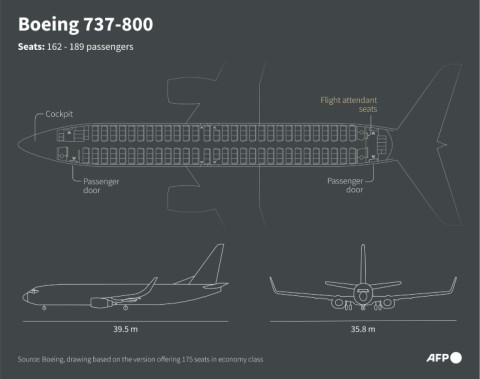 The only survivors of the Boeing 737-800 crash were two flight attendants pulled from the burning wreckage