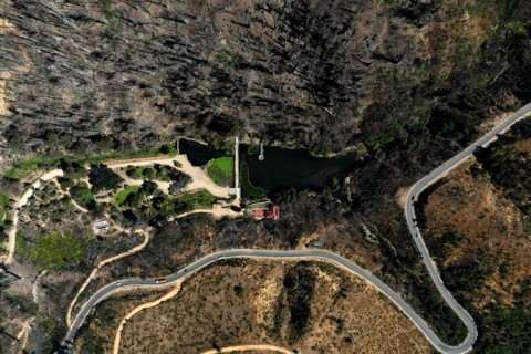 About 90 percent of Vina del Mar National Botanical Garden was destroyed by fire in February 2024