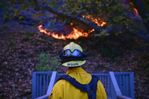 A firefighter from Snohomish County, Washington, works to put out flames behind a home in the Mandeville Canyon neighborhood 