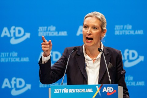 Weidel said an AfD government would close the borders to anyone travelling without documents