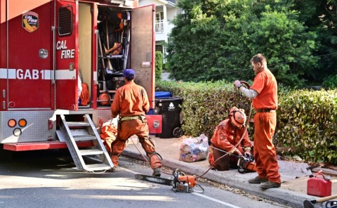 Inmates clear brush or lay hose lines, playing a vital role in the huge operation that has unfolded to extinguish the Los Angeles fires