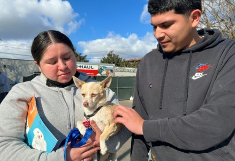 Jaylene Rosalez and Erick Rico recover their long-missing Chihuahua mix Bombon in a reunion indirectly due to the wildfires