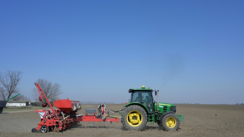 sunflower seed tractor supply