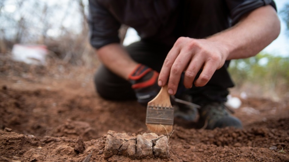 The skeleton of Africa's oldest dinosaur was found during two expeditions in 2017 and 2019