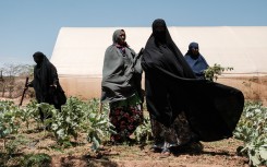  Members the local women's group remove weeds from their vegetable garden to sell as saved water ran out about a week ago in Takaba on September 1, 2022. The devastating Horn of Africa drought is set to get even worse with a fifth consecutive failed rainy season, the UN's weather agency forecasted, fearing an unprecedented humanitarian catastrophe. Ethiopia, Kenya and Somalia are already going through their worst drought for 40 years and another poor rainy season is now highly likely, the World Meteorologic