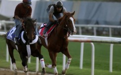 Workout jockeys ride Saudi horses Al-Morhij (L) and Lelah Dorak, owned by King Abdullah Bin Abdel Aziz sons, during early morning traning in Nad al-Sheba racecourse in Dubai, on March 25, 2009, ahead of the 6 million dollar March 28 Dubai World Cup equestrian race.