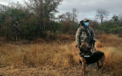 eNCA's Slindelo Masikane in Mpumalanga with cameraman Tebogo Masilo to explore what it's like to travel during a pandemic. First stop, the Kruger National Park.