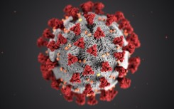 Covid-19 virus