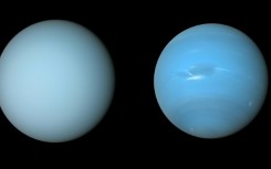 Uranus and Neptune, ice giants where scientists believe diamond rain falls below the surface