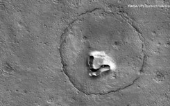 Is there life on Mars? Maybe, and it could have dropped its teddy