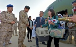 South Korean diplomats who fled the violence in Sudan disembark from a military plane in Jeddah, Saudi Arabia