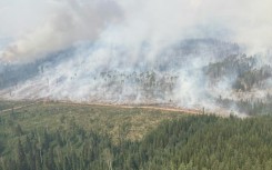 The wildfire in Tintagel, British Columbia is seen in a photo provided by the British Columbia Wildfire Service on July 12, 2023