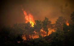 The fires on the island have been raging for five days