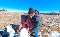 Snow in Hogsback