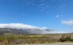 The fires in the Western Cape has left a trail of destruction. eNCA/Kevin Brandt