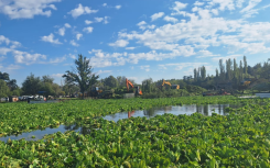 Since 2023, the Vaal River has been overwhelmed with invasive aquatic species. eNCA/Bafedile Moerane