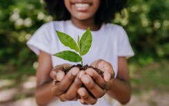 File: Prevent global warming. A girl planting a small tree. GettyImages/andreswd