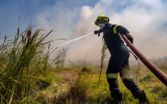 File: Firefighters try to extinguish a veld fire. Jaco Marais/Die Burger/Gallo Images via Getty Images