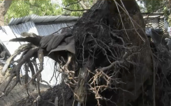 A family in Cato Crest in KwaZulu-Natal is asking for municipal intervention after a tree fell on their informal settlement home while they were sleeping.