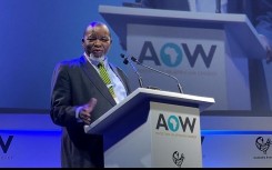 Mineral Resources Minister Gwede Mantashe is delivering the keynote address. eNCA/Kevin Brandt