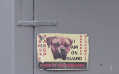 Beware of the dog sign