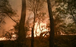 Devastating fires have ripped through parts of Europe over a long, hot summer