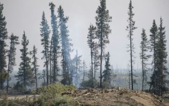 Canada's fires were fueled by drier and hotter conditions caused by climate change -- and by releasing greenhouse gasses into the atmosphere, these fires in turn contribute to global warming