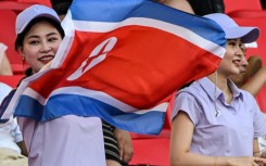 A spectator waves the North Korean flag at the Asian Games