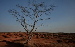 Several hundred determined farming families are hanging on in this desolate land of Gilbues, Brazil, scraping by with hardscrabble ingenuity and sounding the alarm over the spreading problem