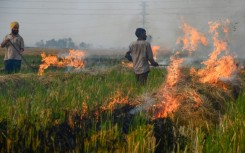 The key problem remains out of the Green War Room's hands -- the huge fires lit by farmers outside of Delhi to clear rice fields after harvests