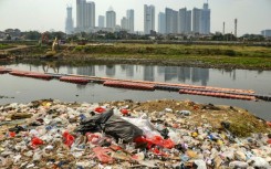 Annual plastic production is on track to triple within four decades