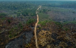 Deforestation in the Brazilian Amazon fell by 22.3% in the twelve months to July, the best result in four years, the government of President Luiz Inacio Lula da Silva reported on November 9, 2023