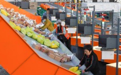 Workers sort packages for delivery ahead of the Singles' Day sales bonanza in China